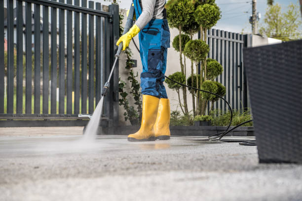 Best Roof Power Washing Services  in Vley, AL
